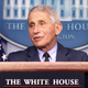 Image for article titled Dr. Fauci: ‘There’s No Longer A Need For Statues To Wear Masks Outside’